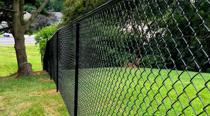 Screen Shot 2025-04-18 at 21.03.06