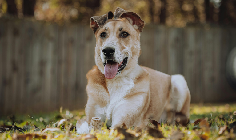 This Blog Was Co-Written By